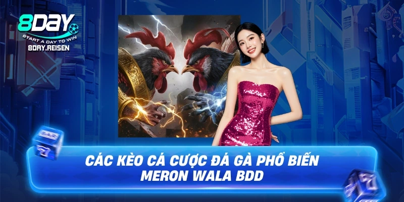 Cá cược đá gà - Hướng Dẫn Đọc Kèo & Mẹo Cược Hiệu Quả 1 Các kèo cá cược đá gà phổ biến Meron Wala BDD