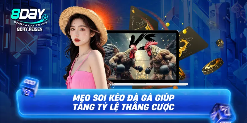 Mẹo soi kèo đá gà giúp tăng tỷ lệ thắng cược